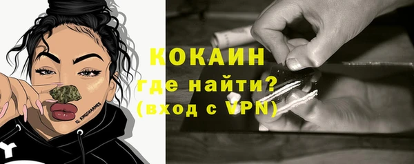 прущий лед Алзамай