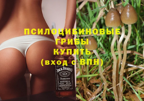ALPHA PVP Алексин